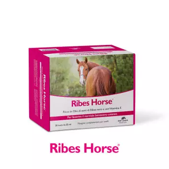 NBF LANES CAVALLI Ribes Horse 30 Bags 25 ml. (NEW) - 