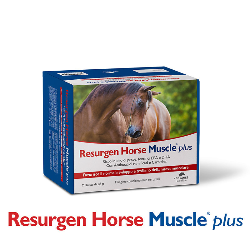 NBF LANES Resurgen Horse Muscle Plus Buste 20 Buste da 35 gr
