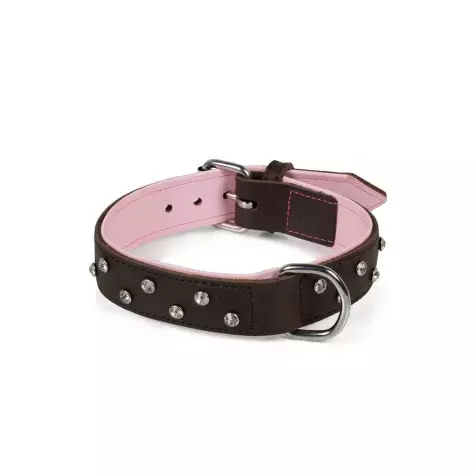 MUZZLE Collar in soft oiled leather with rhinestones 30mm. x 50cm. -
