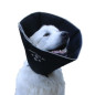 Camon-Collier Elisabettiano Comfy Cone da 12,5 Cm - Taille S