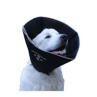 Camon-Collare Elisabettiano Comfy Cone da 25 Cm - Taglia L - 