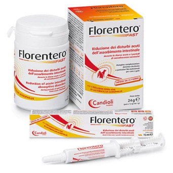 CANDIOLI Florentero Fast 12 Tabletten - 