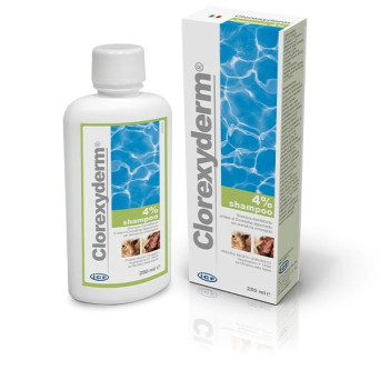 ICF Clorexyderm-Shampoo 4 % 250 ml - 