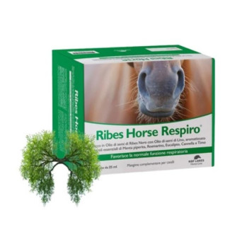 NBF LANES CAVALLI Ribes Horse Respiro 30 Bustine 25 ml - 