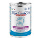 Exclusion Diet Hypoallergenic poisson pommes de terre 400 g
