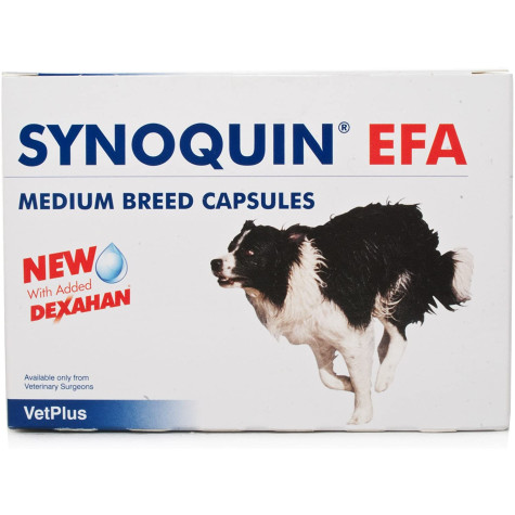 VETPLUS Synoquin Efa Medium Dog Size 30 cp. - 