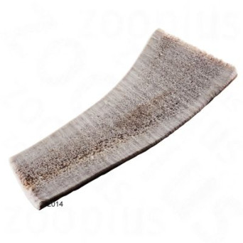 MAORIPET Corna di cervo M (40-70gr) - 