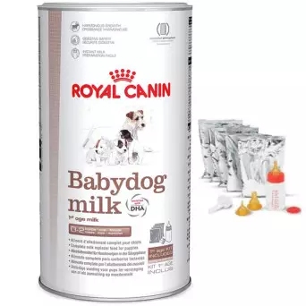 ROYAL-Baby Hundemilch Latte in Polvere 400 gr. - 