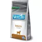 FARMINA VET LIFE Diabetic 2 kg.