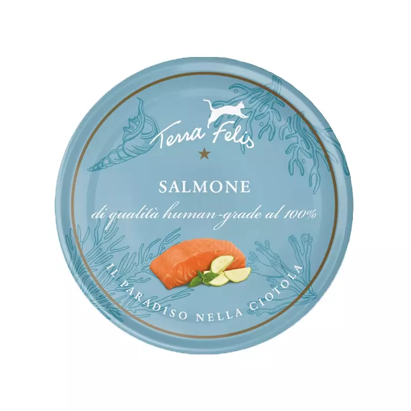 Terra felis Erwachsener Lachs 80 gr.