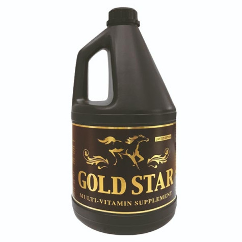 Chifa - Goldstern 3,78 Liter - 