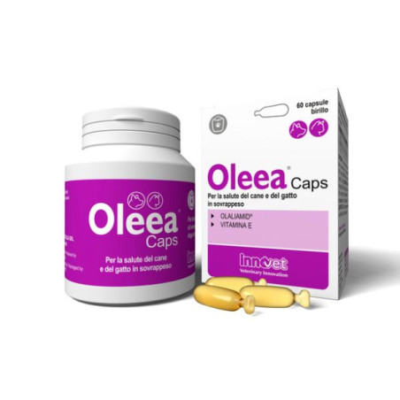 Innovate Oleea 60 Capsule - 