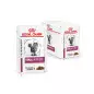 royal canin renal cat beef 12 x 85 gr moist
