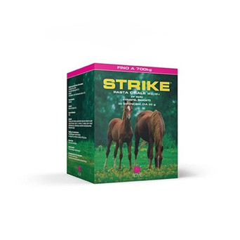 Acme - Strike Oral Paste 20 Spritzen à 35 g. -