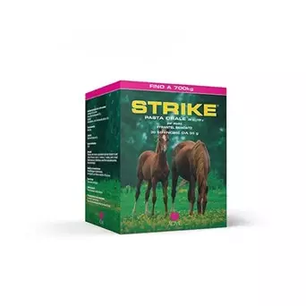 Acme - Strike Oral Paste 20 Spritzen à 35 g. -