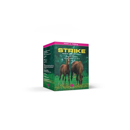 Acme - Strike Oral Paste 20 Spritzen à 35 g. -