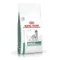 ROYAL CANIN Vet Diet Diabetic 1,5 kg. ROYAL CANIN Vet Diet Diabetic 1,5 kg.