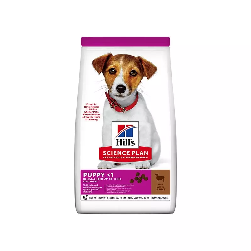 Hill's Pet Nutrition Science Plan Small & Mini Puppy con Agnello con Riso 6KG