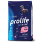 Prolife - Sensitive Adult Mini Lamb et Rice 600gr.