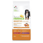 Trainer - Natural Sensitive No Gluten Medium & Maxi Mature with Salmon 12KG