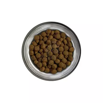 BELCANDO Baseline Fisher 12,5 kg. - 