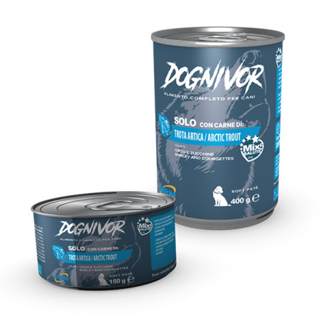 Drn - Dognivor Adult Arctic Trout Gerste und Zucchini 400gr - 