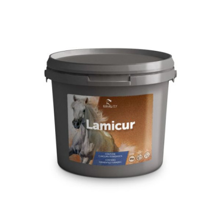 Gleichheit - Lamicur 2KG - 