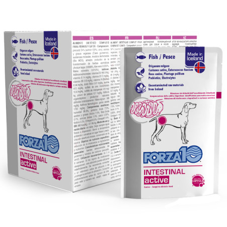 Forza10 Intestinal Actiwet Pesce 12x 100 gr (Cane) - 