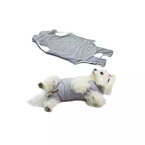 Fashion Dog – Postoperative Körperpflege für Haustiere, Größe 24 - 