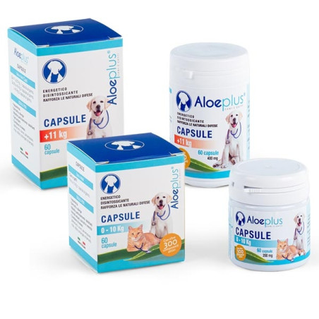 Hdr - Aloeplus Capsule 60 capsule - 