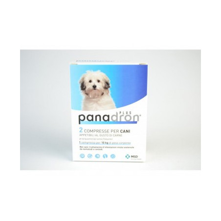 Panadron Plus 2 Cane Compress - 