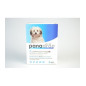 Panadron Plus 2 Comprimés Chien