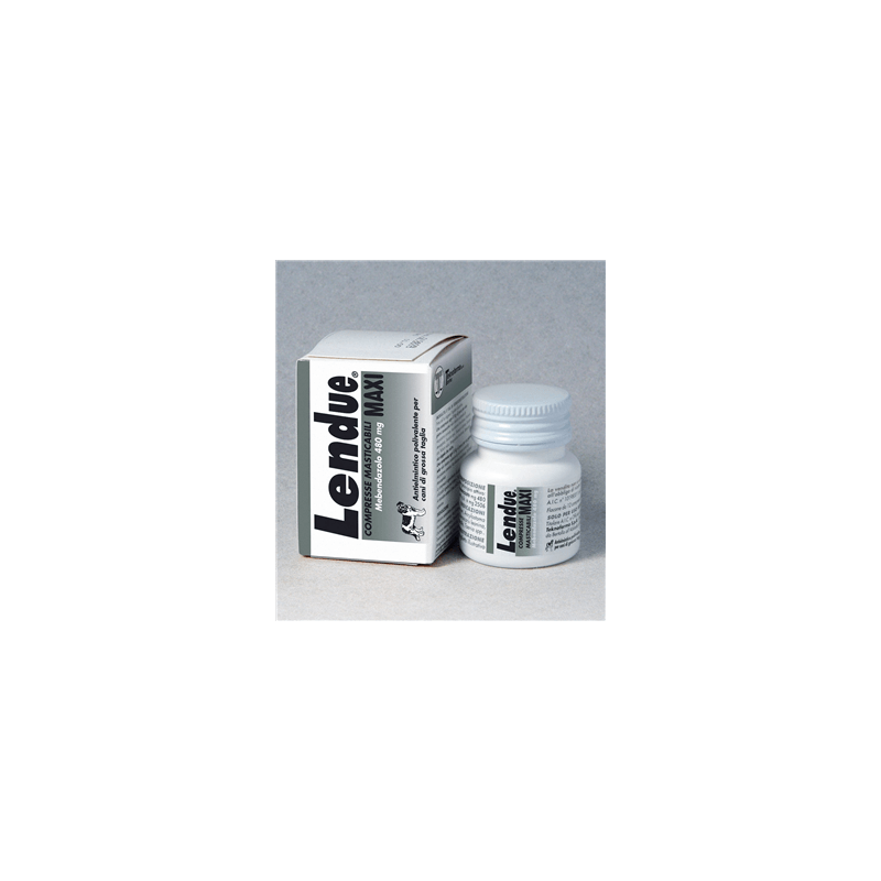 Lendue Maxi 8 Kautabletten 480 mg