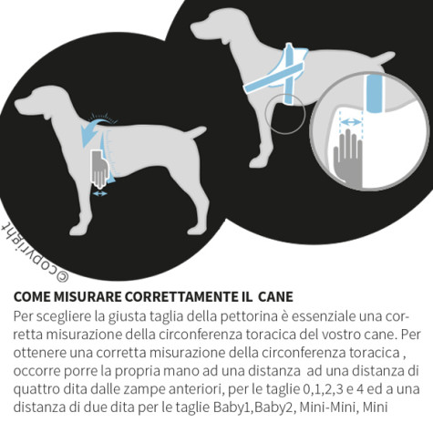 JULIUS K9 - Pettorina per Cani Julius K9 IDC-Powerharness Crazy Taglia 0 - 