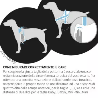 JULIUS K9 - Dog Harness Julius K9 IDC-Powerharness Crazy Size 1 - 