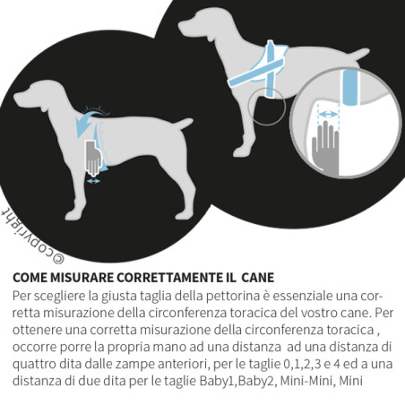 JULIUS K9 - Pettorina per Cani Julius K9 IDC-Powerharness Crazy Taglia 3 - 