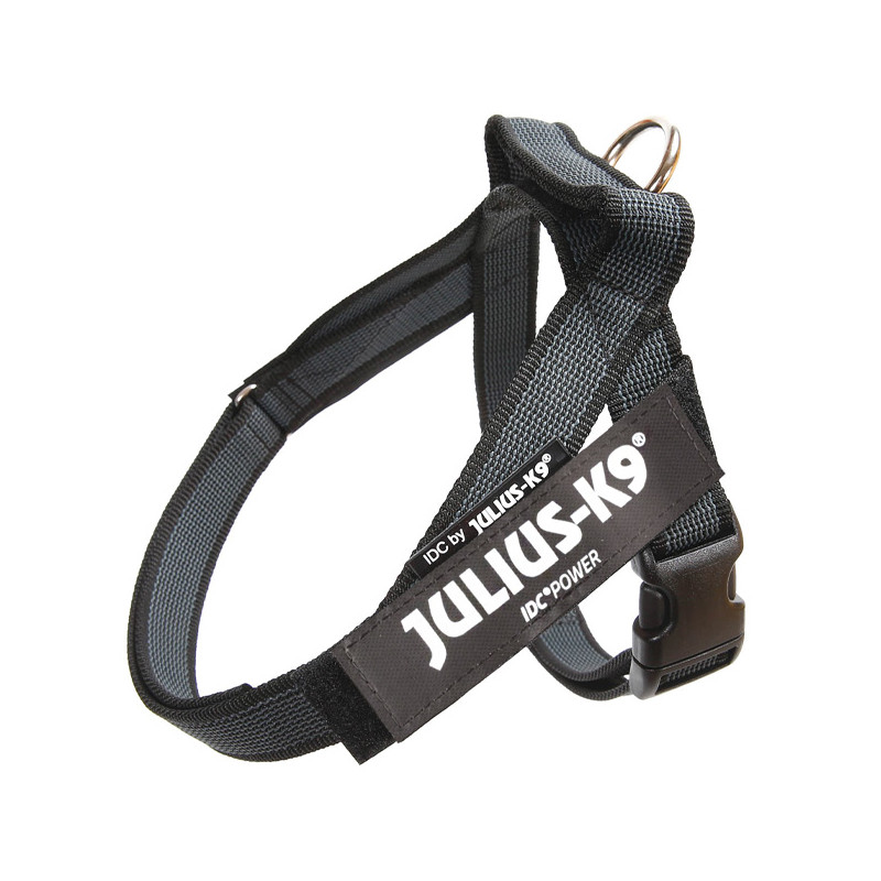 JULIUS K9 - Dog Harness Julius-k9 IDC Color & Gray Belt Harness Color Black Size 1