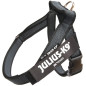 JULIUS K9 - Harnais pour Chiens Julius-k9 IDC Color et Gray Belt Harness Couleur Noir Taille 1