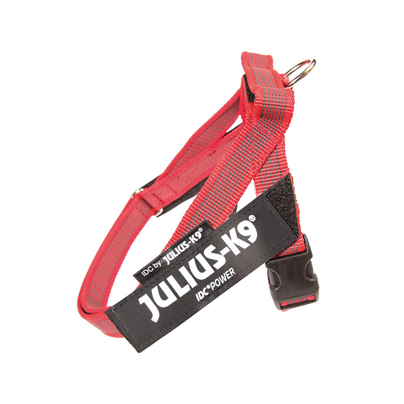 JULIUS K9 – Hundegeschirr Julius-k9 IDC-Farbe und graues Gürtelgeschirr in roter Farbe