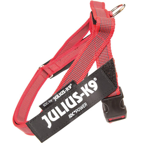 JULIUS K9 - Pettorina per Cani Julius-k9 IDC Color & Gray Belt Harness Colore Rosso - 