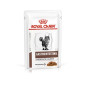 ROYAL CANIN Veterinary Diet Gastrointestinal Moderat 12 Beutel à 85 g.