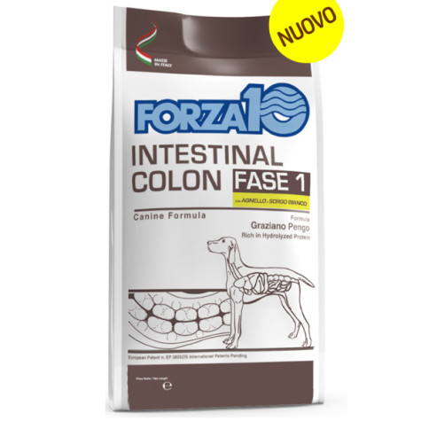 Forza10 - Active Intestinal Colon Fase 1 Agnello Sorgo 10 KG - 