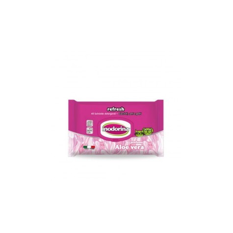 INODORINA lingettes ALOE VERA 40 pièces