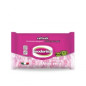 INODORINA lingettes ALOE VERA 40 pièces
