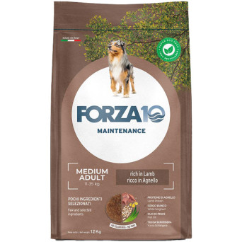 Forza10 Cane Adult Medium Maintenance Agnello Riso 12,5 kg - 