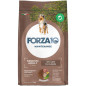 Forza10 Dog Adult Medium Maintenance Lammreis 12,5 kg