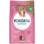 FORZA10 Medium Maintenimento Porc 12 kg.