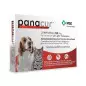 MSD Animal Health - Panacur 10x250 cpr