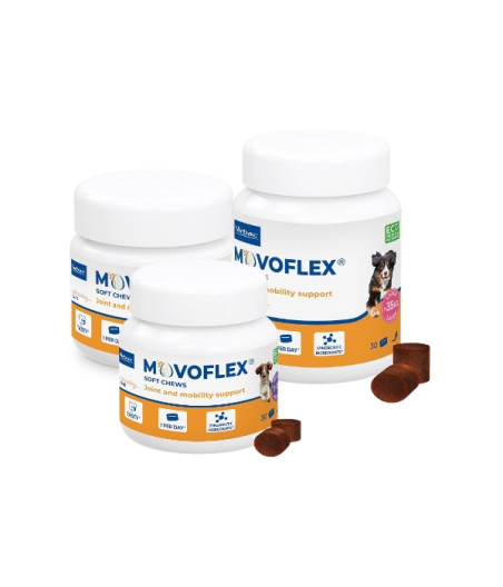 Virbac - Movoflex per cani fino a (oltre 35kg) 30cpr - 