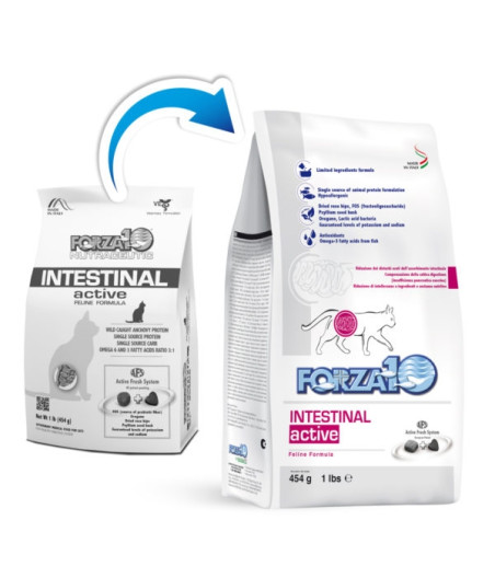 FORZA10 - Gatto intestinal active 1,5 kg - 